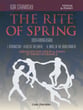 The Rite of Spring Violin Solo cover